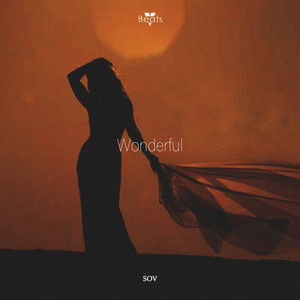Wonderful