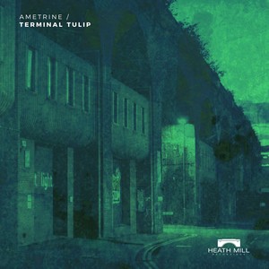 Terminal Tulip (Original Mix)