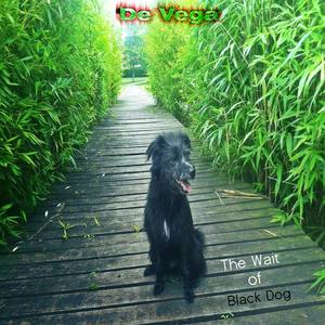 The Wait of Black Dog II