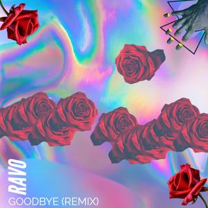Goodbye (Remix)