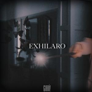 Exhilaro