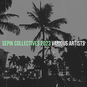 Sepik Collectives 2023