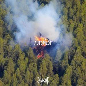 Autopilot (Explicit)