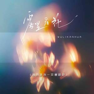 雾里看花 (借我借我一双慧眼吧)