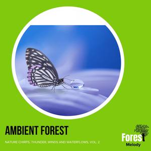 Ambient Forest - Nature Chirps, Thunder, Winds and Waterflows, Vol. 2