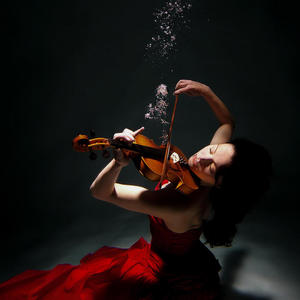 The Violinist