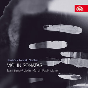 Sonata for Violin and Piano in B minor, Op. 9: II. Andante con moto