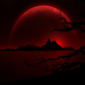 P. A. R. A. L. Y. Z. E. D. (Explicit)