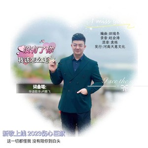 没有了你我该怎么走 (伴奏)