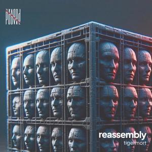 reassembly (Explicit)