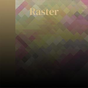 Raster