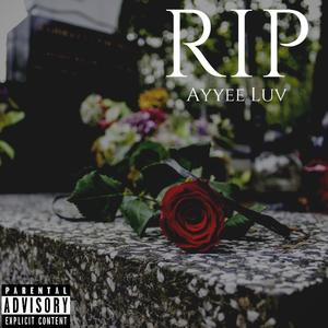RIP (Explicit)