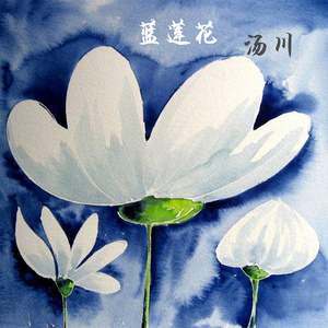 蓝莲花