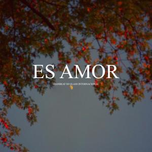 Es Amor(feat. Dj Glass)