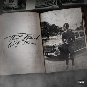 Chrome Hearts Tag (feat. AJ Swimmy & Luh Zp) (Explicit)