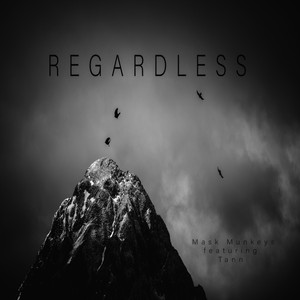 Regardless (feat. Tann)