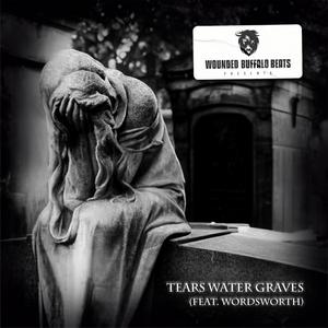 Tears Water Graves (feat. Wordsworth) [Explicit]