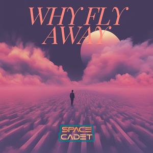 Why Fly Away