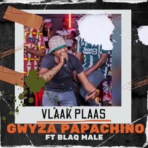 Vlaak Plaas (Explicit)