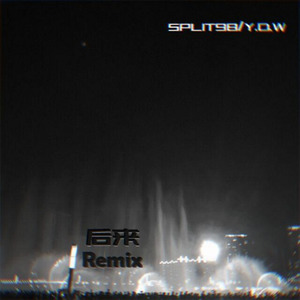 刘若英-后来 (Y.D.W / SPLIT98 remix)