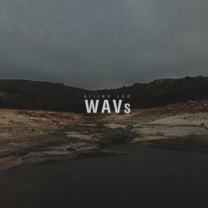 WAVs