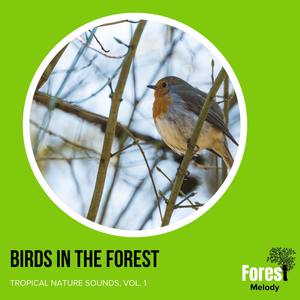 Birds in the Forest - Tropical Nature Sounds, Vol. 1