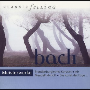 Konzert für Flöte, Violine, Cembalo, Streicher und Basso continuo, A-Moll, BWV 1044