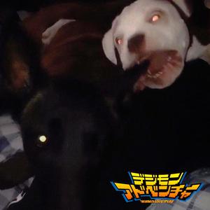 Digimon (feat. Currokush) (Explicit)