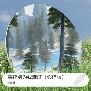 雪花别为我难过-徐知夏