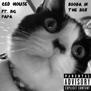 Down The Stairs (feat. Lil Shaggy)