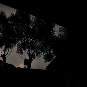 Shut It Down (feat. NTF Sean & Off11ine) (Explicit)