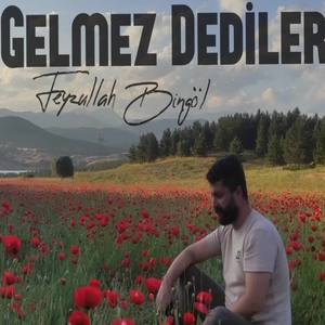 Gelmez Dediler