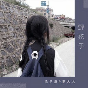 野孩子 (DJ弹鼓版)封面