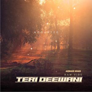 Teri Deewani - Acoustic