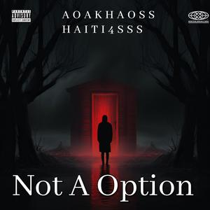Not A Option (feat. HAITI4sss) (Explicit)