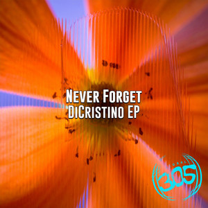 Never Forget (Original Mix)