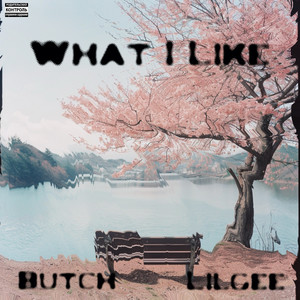 What I Like (Explicit)