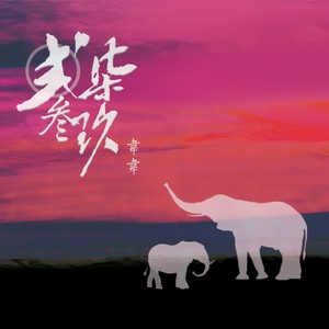 关于小微的故事 (特别版)