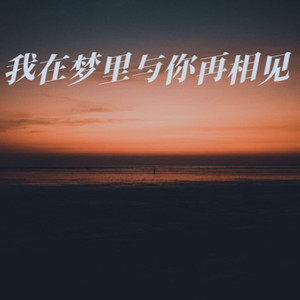 我在梦里与你再相见