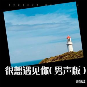 很想遇见你 (男声新版)