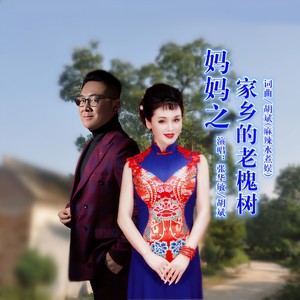 妈妈之家乡的老槐树 (对唱版伴奏)