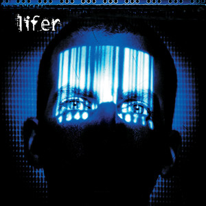 Not Like You (Album Version)