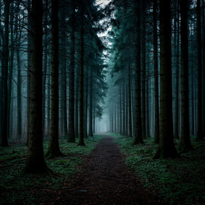 TSUKUBX PLAYA - Reversed World (Ultra Slowed)