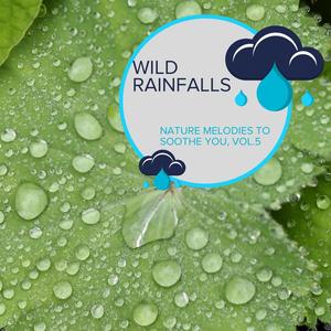 Wild Rainfalls - Nature Melodies to Soothe You, Vol.5