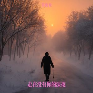 走在没有你的深夜