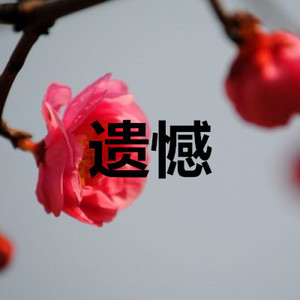 黄梅戏 (超嗨版)