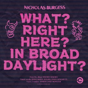 What? Right Here? In Broad Daylight? (MLM Remix)