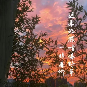 迟来的深情像野草一样廉价 (伴奏)