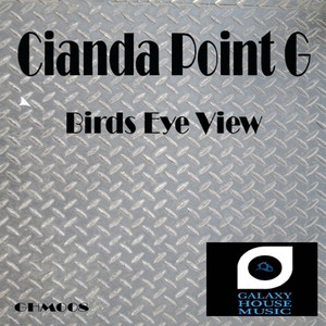 Birds Eye View (Original Mix)
