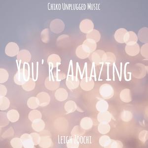 You're Amazing (feat. Leigh Zoochi) [Radio Edit]